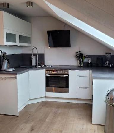 Apartment Schwarzwaldmaedel Friedenweiler Экстерьер фото
