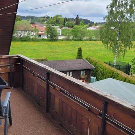 Apartment Schwarzwaldmaedel Friedenweiler Экстерьер фото