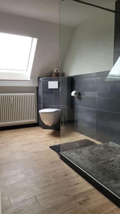 Apartment Schwarzwaldmaedel Friedenweiler Экстерьер фото
