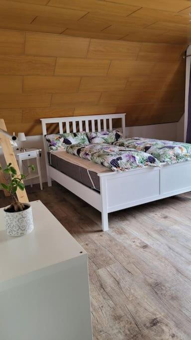 Apartment Schwarzwaldmaedel Friedenweiler Экстерьер фото