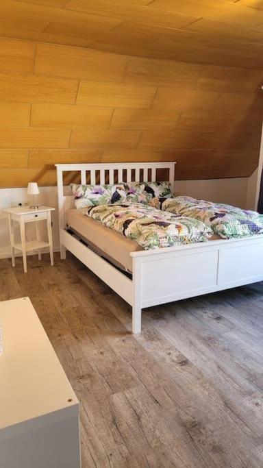 Apartment Schwarzwaldmaedel Friedenweiler Экстерьер фото