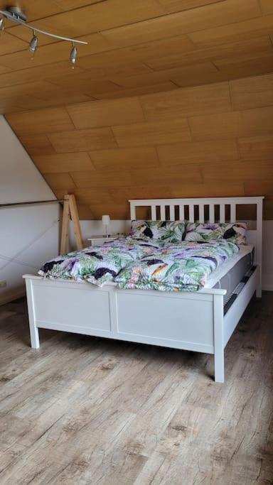 Apartment Schwarzwaldmaedel Friedenweiler Экстерьер фото