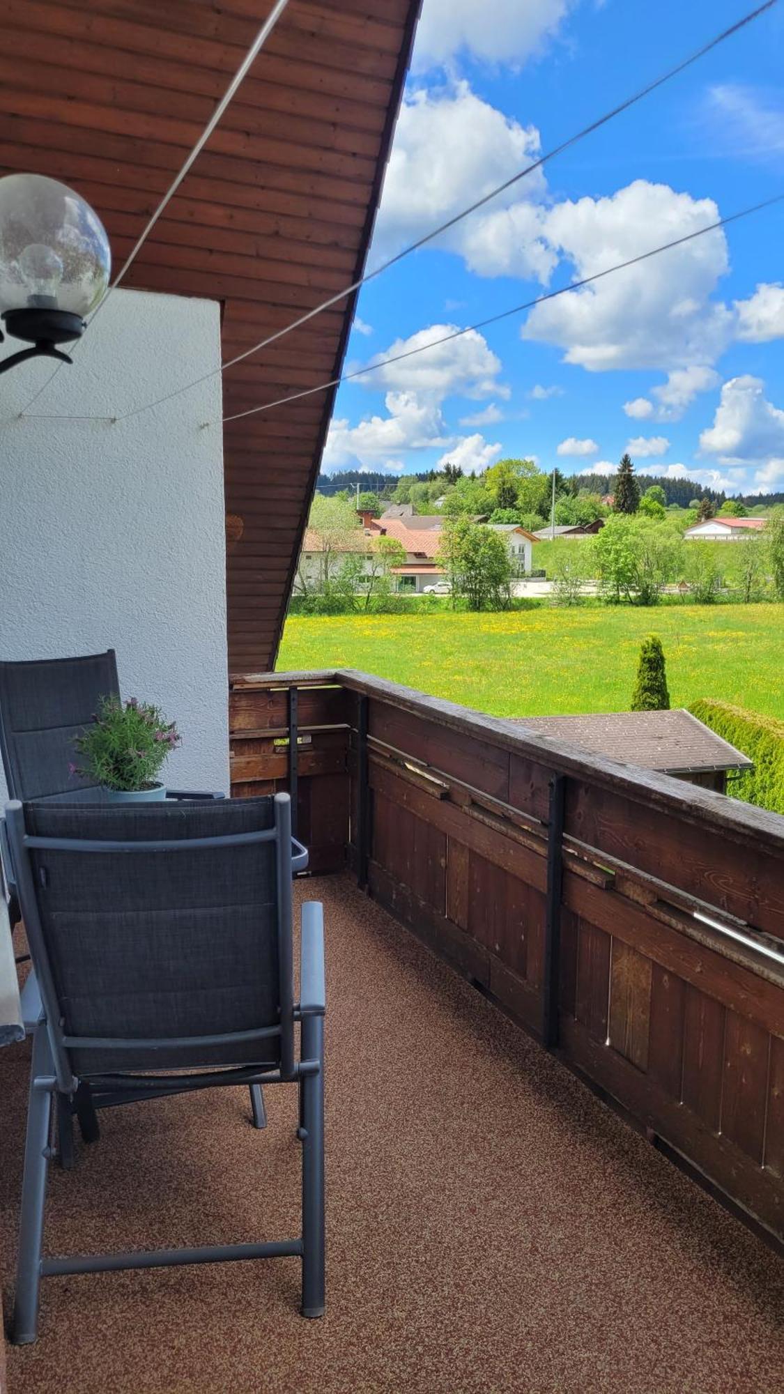 Apartment Schwarzwaldmaedel Friedenweiler Экстерьер фото
